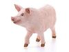 Фигурка Schleich Свинья - SLH13782