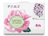 Картина по номерам Molly Цветы Космеи 15х20 (13 цветов) - KH0988