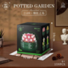 Конструктор RToy 3D из миниблоков Цветы Суккуленты 1шт, 159 элементов - WL2109