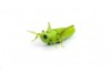 Робот кузнечик ZF на пульте управления - ZF-7705