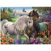 Пазл Ravensburger «Красивая пара» 500 элементов - 14911