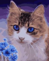 Картина по номерам Кот и васильки - Кпн-238