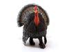Фигурка Schleich Индюк - SLH13900