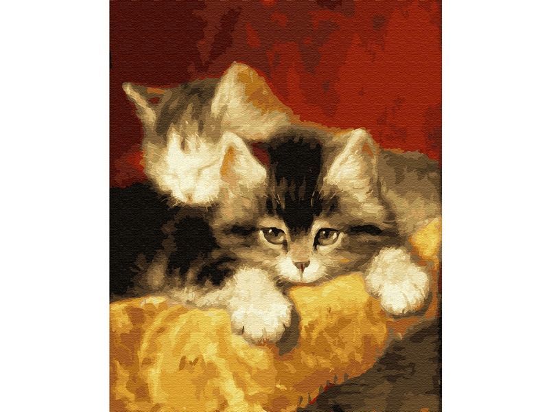 Картина по номерам Molly Котята 40х50 (24 цвета) - KH0307