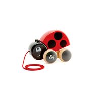 Каталка Hape Божья коровка - E0362_HP