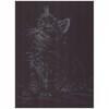 Гравюра Little Animals *Котенок мейн-кун* - Гр-531