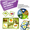 Настольная игра ЛОТО *ЧТО СЕГОДНЯ НА ОБЕД?* 2 в 1 Играй Думай Учись Bondibon - ВВ4879