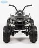 Электроквадроцикл Barty Grizzly Т001МР_new