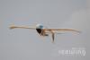 Радиоуправляемый самолет FreeWing Seagull KIT - FG20111K