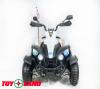 Электроквадроцикл ToyLand 268B