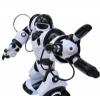 Робот Feng Yuan Robot Wisdom интерактивный на инфракрасном управлении  - 28091