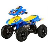 Электроквадроцикл RiverToys RD203A