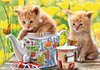 Пазлы Castorland *Время чаепития. Котята*, 500 элементов - B-52356