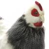 Мягкая игрушка HANSA Курица французской породы, 38 см - 5034