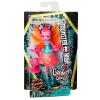 Мини-кукла Monster High Цветочные монстрики с питомцами - FCV50
