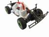 Защитный чехол для радио модели RC LOSI TEN SCTE 4WD 1:8 Летний на липучках - PolyM-CovLosi06Wt