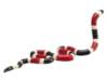 Фигурка KONIK Коралловая змея - AMW2109