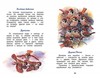 Внеклассное чтение Лесные сказки Сладков Н. - 26980