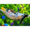 Пазл Ravensburger «Кошка в гамаке» XXL 300 элементов - 13204