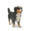 Фигурка Gulliver Collecta - Бернский зенненхунд, L - 88801b