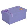 Шкатулка Neogift 2 мыши на книгах - Е77002