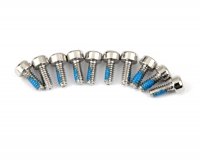 Крепежный винт M1.6X4 (10) NL - MST-110039S