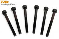 Винты 3x30мм Cap (6шт) - TM-126330C