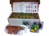 Робот-динозавр Ugobe Life Form Pleo RB Blue с аксессуарами - 663950