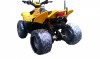 Бензиновый квадроцикл Simbel Dolphin 50 - SIMBEL DOLPHIN FE150