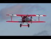 Радиоуправляемый самолет E-Flite Albatros D.Va 25e World War I Platinum Series ARF - RC35055