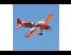 Радиоуправляемый самолет ParkZone Mike McConville Extra 300 BNF - RC35061