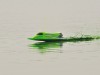 Радиоуправляемый катер Thunder Tiger Bandit 3.5 II Super Combo Green Edition ARR - 5210-F27G
