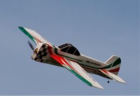 Радиоуправляемый самолет The World Models Yak 55M EPP ARF - AEP301-B