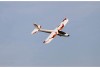 Радиоуправляемый планер FMS FOX RTF 800мм 2.4G - FMS068R