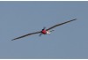 Радиоуправляемый планер FMS Moa RTF 1500мм 2.4G - FMS071R