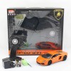 Радиоуправляемая машинка MZ Model Lamborghini Aventador масштаб 1:24 - 25021A