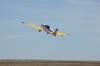 Радиоуправляемый самолет E-Flite LR-1A Pogo 15e ARF - EFL4200