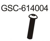 Винт M4x20м Hex  OH|TP (10шт) - GSC-614004