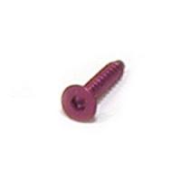 Винт д/пластика 3x12 под шестигранник, аннодирован. Puple (10шт) - GSC-T01312PR