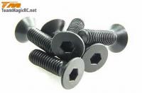 Винты 3x10mm Steel FH (6шт) hex - TM-126310