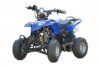 Бензиновый квадроцикл Joy Automatic - LMATV-110P