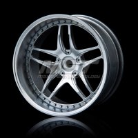 Диски Paint silver FB (+8) (4) - MST-102061PS