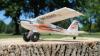 Радиоуправляемая модель самолета E-Flite UMX Timber BNF Basic - EFLU3950