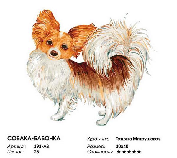 Картина по номерам на холсте Белоснежка *Собака-бабочка*, 30*40 см - 393-AS
