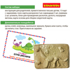 Настольная игра квест *Остров динозавров* Bondibon - ВВ5141