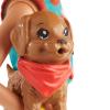 Игровой набор с куклой Barbie Сестры и щенки - FHP63