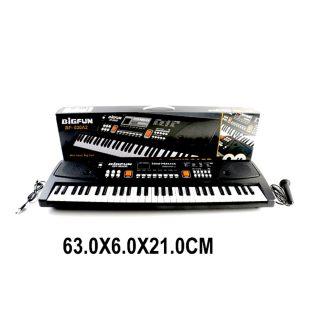 Синтезатор Shantou Gepai Bigfun 61 клавиша, запись, микрофон, черный - BF-630A2