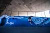 Роллерсёрф Razor RipSurf синий - 051403