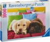 Пазл Ravensburger «Щенки лабрадора» 1000 элементов - 19115