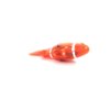 Радиоуправляемая рыбка Create Toys Clown Fish 27Mhz - 3316-RED